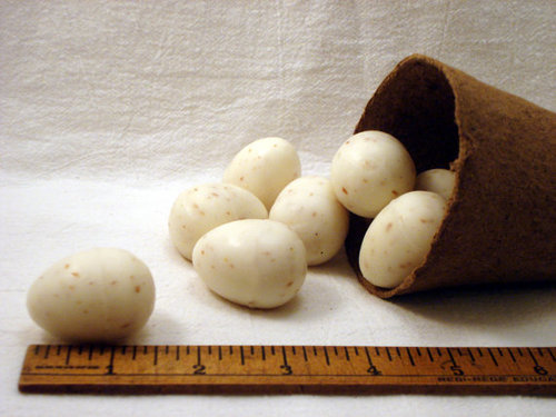 We are a family owned and operated soap company located in a small southern town in Locust Grove, Georgia. We specialize in all natural novelty soaps!