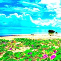 432hz relax and sleep (@adam84577979) 's Twitter Profile