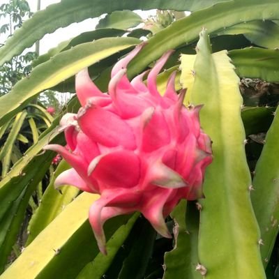 shintams89's profile picture. 