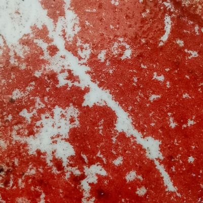 netavLltFMmxNLx's profile picture. 。。。。