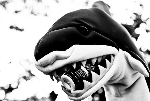 AwakenShark's profile picture. 