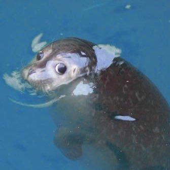 rice_pp2's profile picture. Me