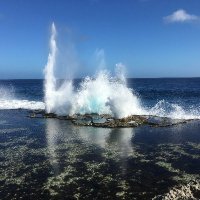 在トンガ日本大使館 (@japanintonga) 's Twitter Profile