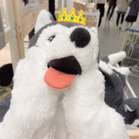 こあら (@9510231111_) 's Twitter Profile Photo こあら (@9510231111_) 's Twitter Profile Photo