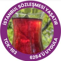Safiye Özçelik (@safiyeozcelik) Twitter profile photo