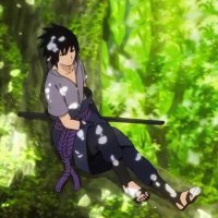 TrpyCris (@cristrpy) 's Twitter Profile