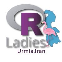 R-Ladies Urmia(@RLadiesUrmia) 's Twitter Profile Photo