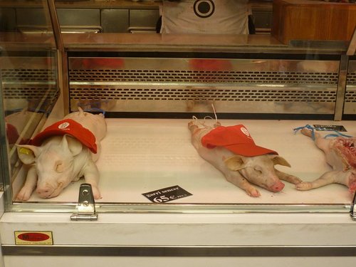 Cultured_Animal's profile picture. Humanity in self-imposed exile. Views channelled from a purgatorial wonderland.