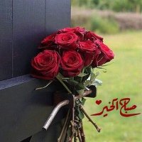 mohamedhamdy(@mohamedhamdy363) 's Twitter Profile Photo