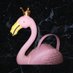 🦩 BAR ピンクフラミンゴ 🦩 (@pinkflamingo_0) Twitter profile photo 🦩 BAR ピンクフラミンゴ 🦩 (@pinkflamingo_0) Twitter profile photo