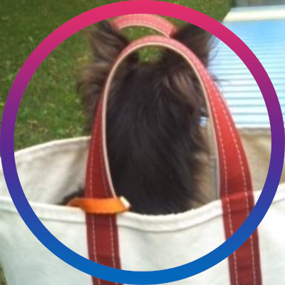 pomomi's profile picture. 50% chihuahua, 5'4". an upset bipolar grandchild of anthropology. M.A. 1M yrs away from my Ph.D. the full-time star wars nerd. a frivolous catholic. NOT single