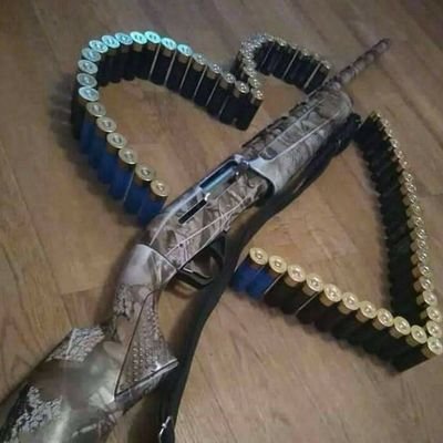 qaA7SpsxJIvEYBY's profile picture. Rak