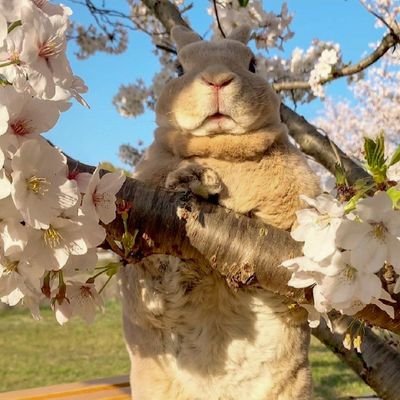 cryptoftv's profile picture. cryptocurrency - altcoins Queen