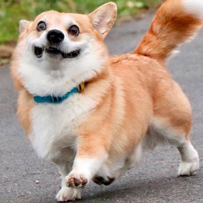 matyyysss2's profile picture. 