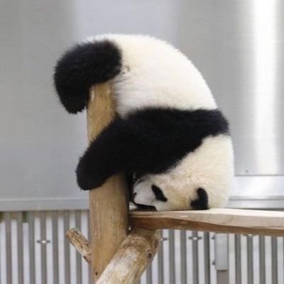 TetraHeedron's profile picture. I don't wanna stock in a box I am the one who some like and normally some hates