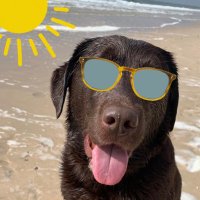 Jonas (@bellobar) 's Twitter Profile