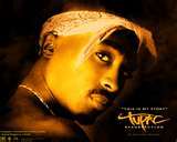 eugenerikers's profile picture. jdjduj rrr rj srj tyjdj