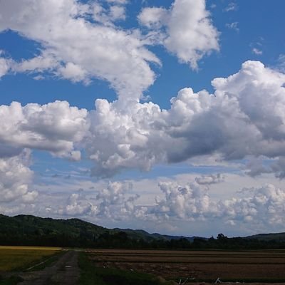 北海道の観光や食を応援します！🏞️
観光や食全般､ちょっと経済､事業主さんのためになる情報もたまに😊北海道以外の地域もみんなで応援しよう！🙌
試運転長め(仮)…🚃
朝の挨拶は元気にポジティブに(*^ー^)ノ♪
気軽にフォローしてください😊
特定の団体等には属しませんから～🎵あとＤＭはほぼ見ないです〜🎵