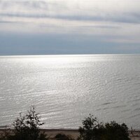 Jeff Regier (@jeffregier) 's Twitter Profile