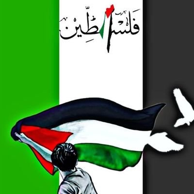 zaryabk85052245's profile picture. 