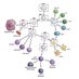 Belgian Immunology Society (@society_belgian) Twitter profile photo Belgian Immunology Society (@society_belgian) Twitter profile photo