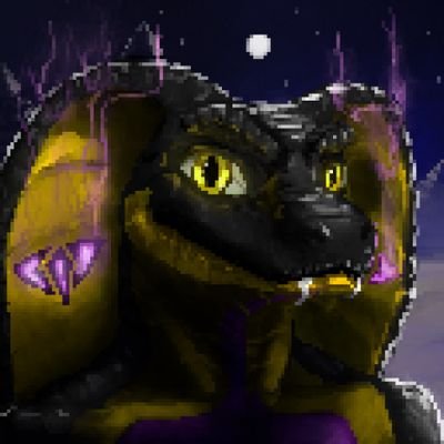 Shedさんのプロフィール画像
