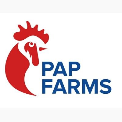 papfarmsgh's profile picture. Proud indigenous Ghanaian poultry business focussed on the growing and processing of wholesome chicken and eggs for the Ghanaian market.