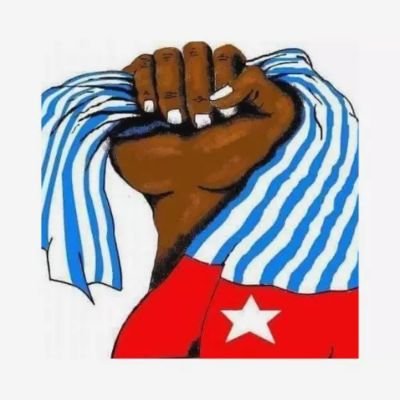 We are a committed, growing and united front in Aotearoa, NZ actively supporting the people of West Papua!

#Papua #PapuanLivesMatter #FreeWestPapua #WPAA