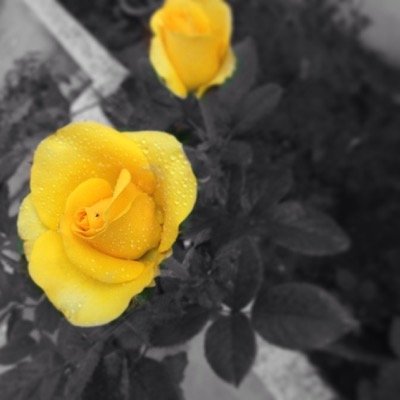 ra7ulsingh's profile picture. A scorpio,♏ 21OfNov. Love Inside........3