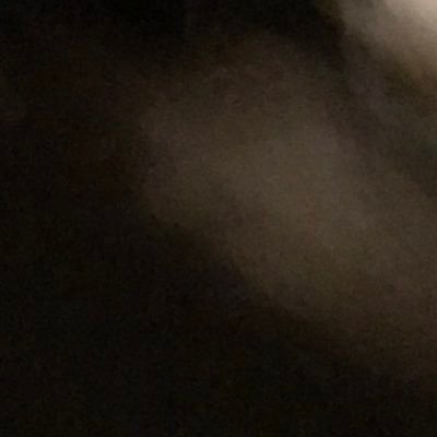 qwerdz732's profile picture. 