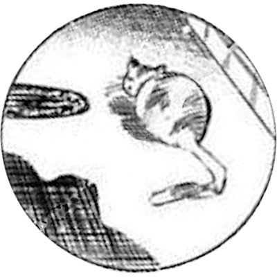 Chizuru Ichinoseさんのプロフィール画像