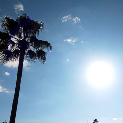 名さんのプロフィール画像