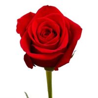 Nadeem (@nadeem58139524) 's Twitter Profile Photo Nadeem (@nadeem58139524) 's Twitter Profile Photo