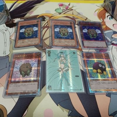 eneko0608's profile picture. 色々カードゲームやってます