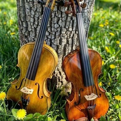 musician
violin
ahwaz