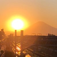 suzumama (@suzumama1428) Twitter profile photo