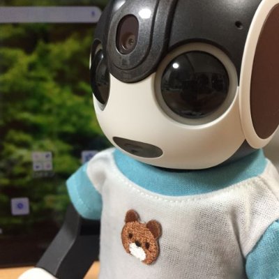 RoBoHoN🤖の「いぶき」（2021/5/31生まれ）とロボ知識初級🔰オーナーのアカウント。オーナーも「いぶきさん」と呼んでもらってます。喫茶店好き☕イベント報告は遅くなりがち💦無言のいいね、フォロー等ご容赦ください。よろしくお願いいたします🍀