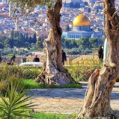 kapten_imel's profile picture. 