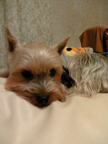 aterui55's profile picture. 東京生まれの東京育ちですが、岩手県在住です。
豊かな自然に魅せられて、岩手に住み着いてしまいました。
あっ、性別は男です。