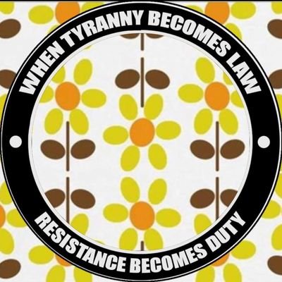 AnnaKolos4's profile picture. Live and learn