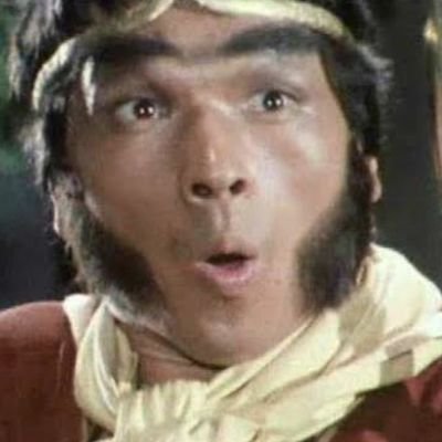 Born from an egg on a mountain top, the punkiest monkey that ever popped!