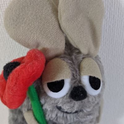 コマさんパパさんのプロフィール画像