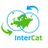 InterCat Project