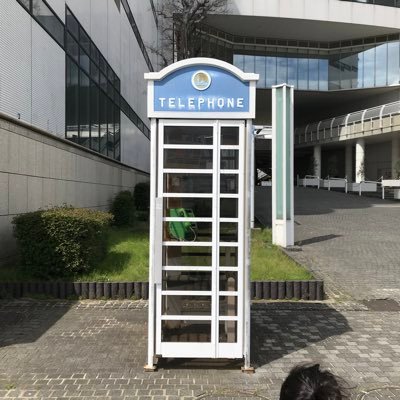 boofoowoo3pigs's profile picture. 低学年娘（言語凸WM凹ASD診断済・一人っ子）と夫の3人暮らし。マイワールド強めお絵描きと、読書が好き。集団生活が苦手。おしゃべりで明るいのに繊細。皆さんとお話したり情報交換ができればと思い始めました。無言フォロー失礼します🙇‍♀️