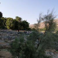 خالد َََالمكلا (@8bh2zdgfdo6zonn) 's Twitter Profile