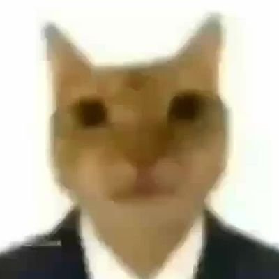 chettostime's profile picture. é o sexo n tem jeito