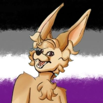💜♠ Asexual 🏳️🌈 ☆ He/They ☆ Computer Science 💻 ☆ 90s kid ☆ PFP @VJArt_ ☆ Banner @VJArt_ ☆ Neurodivergent ☆ Scout ⚜ ☆ 🇬🇧🇮🇪 ☆ Technoblade Never Dies 🐷👑