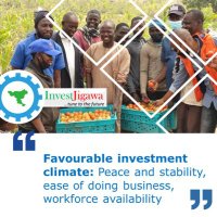 InvestJigawa (@investjigawa) 's Twitter Profile Photo InvestJigawa (@investjigawa) 's Twitter Profile Photo