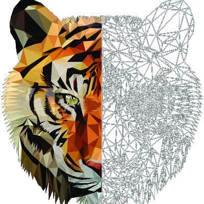 PolyTiger is coming to Polygon! 
Fierciest Futurisitc Yield Farm with anti-inflationary measures

We are bringing and bigger and better 'BIG CAT' to Polygon.