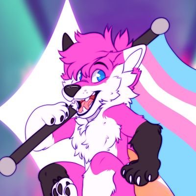 BinaryPawsさんのプロフィール画像